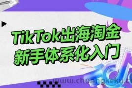 TikTok出海淘金，新手体系化入门，零基础快速入门，掌握短视频、直播带货等引流到变现的知识