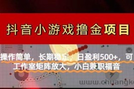 （14290期）【抖音小游戏发行人计划项目】操作简单，长期稳定，日盈利500+，可工作…
