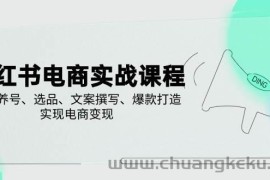 小红书电商实战课程，详解养号、选品、文案撰写、爆款打造，实现电商变现