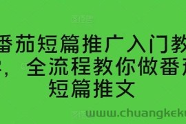 番茄短篇推广入门教学，全流程教你做番茄短篇推文