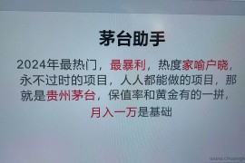 （13217期）魔法贵州茅台代理，永不淘汰的项目，抛开传统玩法，使用科技，命中率极…
