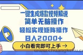 （14103期）2025最火蓝海项目十秒生成一键视频
