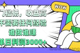 （13651期） 门槛低，收益高，不需要任何经验，谁做谁赚，单日利润3000+