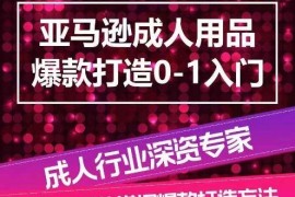 亚马逊成人用品爆款打造0-1入门，系统化讲解亚马逊成人用品爆款打造的流程