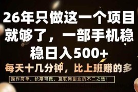 （17319期）26年只做这一个项目，一部手机，每天十几分钟，轻松日入500+