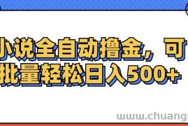 （12244期）小说全自动撸金，可批量日入500+