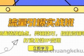 流量引爆实战班，涵盖情绪触点，剪辑技巧，投放逻辑等，打造女性IP变现