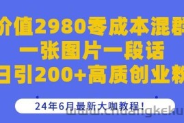 价值2980零成本混群一张图片一段话日引200+高质创业粉，24年6月最新大咖教程【揭秘】