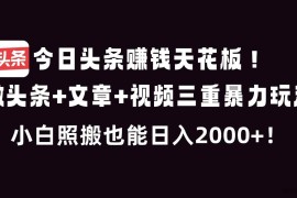 （16888期）今日头条赚钱天花板！微头条+文章+视频三重暴利玩法，小白照搬也能日人2000+