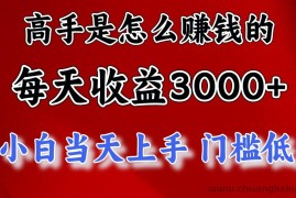 （11228期）高手是怎么赚钱的，一天收益3000+ 这是穷人逆风翻盘的一个项目，非常…