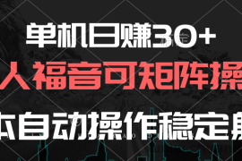（10277期）单机日赚30+，懒人福音可矩阵，脚本自动操作稳定躺赚