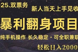 （14180期）日入2000+  娱乐信息差项目  最佳入手时期   新人当天上手见收益