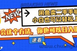 （14221期）闲鱼卖二手手机，小白也可以轻松上手，学会这个方法，你也可以日入800+