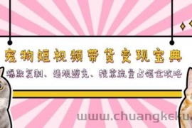 （13227期）宠物短视频带货变现宝典：爆款复制、违规避免、搜索流量占领全攻略