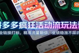 拼多多疯狂活动流玩法课：全链接打标，精准流量翻倍，业绩稳涨不踩坑