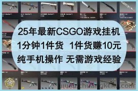 （14439期）25年最新CSGO游戏挂机，1分钟1件货，1件货赚10元 纯手机操作 无需游戏经验