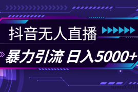 （11709期）抖音无人直播，暴利引流，日入5000+