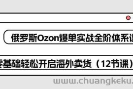 俄罗斯Ozon爆单实战全阶体系课，零基础轻松开启海外卖货（12节课）