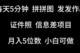 每天5分钟，拼拼图发发作品，证件照信息差项目，小白可做【揭秘】