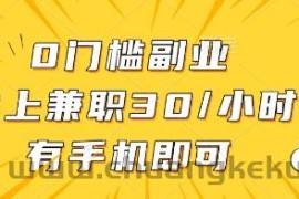 0门槛副业，线上兼职30一小时，有一部手机即可操作【揭秘】