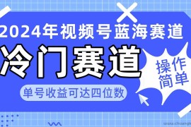 （10195期）2024视频号冷门蓝海赛道，操作简单 单号收益可达四位数（教程+素材+工具）