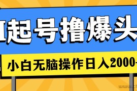 （11008期）AI起号撸爆头条，小白也能操作，日入2000+