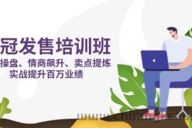 销冠发售培训班：发售 操盘+情商 飙升+卖点 提炼，实战提升百万业绩