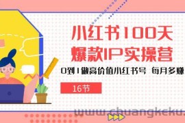 小红书100天爆款IP实操营，0到1做高价值小红书号，每月多赚3000+（16节）