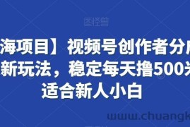【蓝海项目】视频号创作者分成掘金最新玩法，稳定每天撸500米，适合新人小白【揭秘】