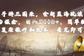 手游三国杀最新蓝海玩法，简单粗暴，无需复杂的操作和技术，看完即可上手【揭秘】