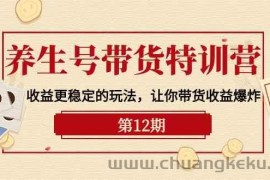（10110期）养生号带货特训营【12期】收益更稳定的玩法，让你带货收益爆炸-9节直播课