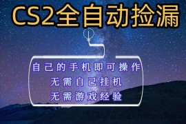 全自动捡漏，不用自己挂机不用玩游戏，自己的手机即可操作，新手小白轻松月入1W+