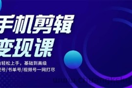 （13231期）手机剪辑变现课：小白轻松上手，基础到高级 影视号/书单号/视频号一网打尽