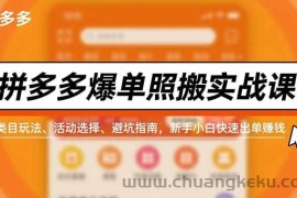 （16838期）拼多多爆单照搬实战课，类目玩法、活动选择、避坑指南，新手小白快速出单赚钱