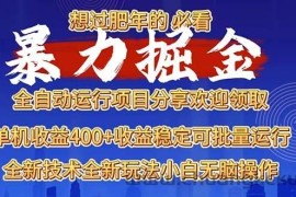 （13675期）2025暴力掘金项目，想过肥年必看！