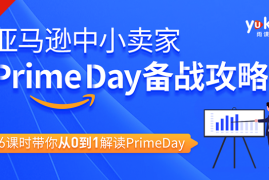 （1310期）亚马逊中小卖家Prime day备战攻略，从0到1解读PrimeDay，月销15w美金