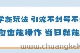 国学新玩法，引流不封号不违规小白也能操作，当日就能变现