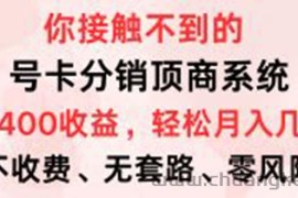 （12820期）号卡分销顶商系统，单卡400+收益。0门槛免费领，月入几W超轻松！