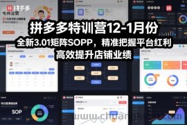 拼多多特训营12-1月份，全新3.01矩阵Sop，精准把握平台红利，高效提升店铺业绩