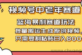 （14314期）2025视频号中老年短视频蓝海暴利风口！复制粘贴搬运视频单日赚800+，无…