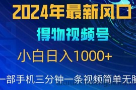 （10548期）2024年5月最新蓝海项目，小白无脑操作，轻松上手，日入1000+