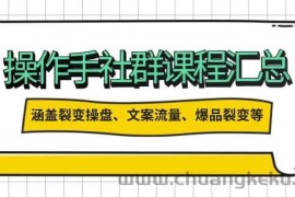 操盘手合伙人课程汇总：包含裂变操盘、文案流量、爆品裂变等多方面的内容