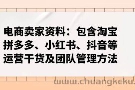 （14354期）电商卖家资料：包含淘宝、拼多多、小红书、抖音等运营干货及团队管理方法