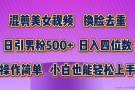 （10908期）混剪美女视频，换脸去重，轻松过原创，日引色粉500+，操作简单，小白也…