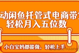 （14132期）全自动闲鱼托管式电商带货 轻松实现月入五位数