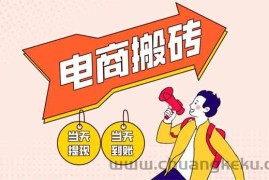 （14310期）电商搬砖项目，单机日收益300+，非常暴力，小白上手就会