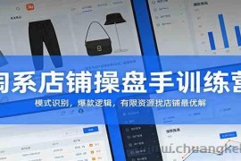 淘系店铺操盘手训练营：模式识别，爆款逻辑，有限资源找店铺最优解