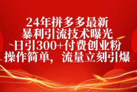 （10559期）24年拼多多最新暴利引流技术曝光，日引300+付费创业粉，操作简单，流量…