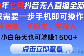 （11756期）2024年七月抖音无人直播全新玩法，只需一部手机即可操作，小白每天也可…