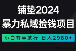 暴力私域捡钱项目，小白无脑操作，日入2980【揭秘】
